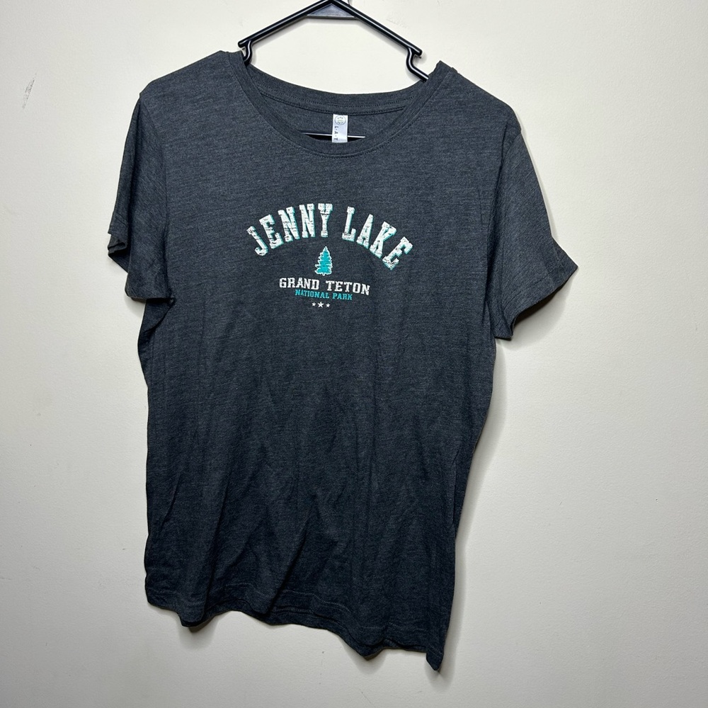 Grand Teton National Park Jenny Lake Short Sleeve T-Shirt Graphic Tee Gray